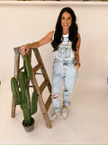 Melissa denim overalls